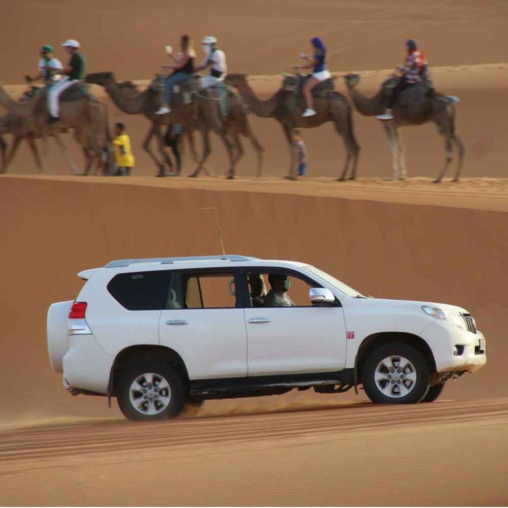 desert tour