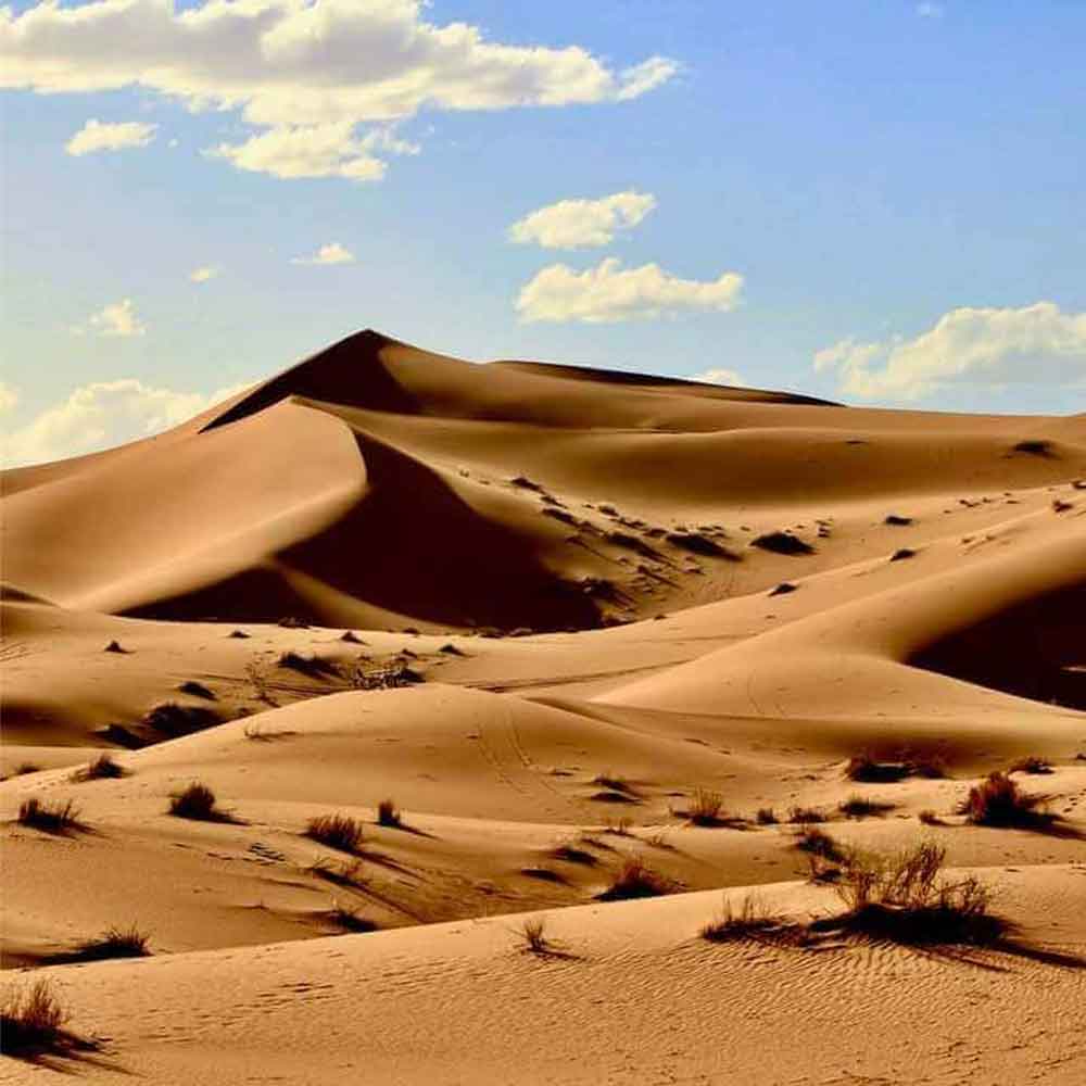 morocco desert Marzouga