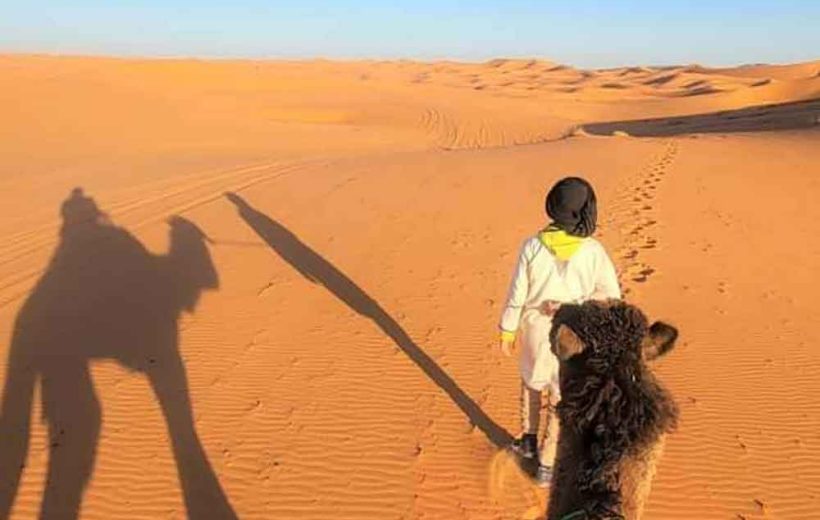 Casablanca and Morocco's Imperial Cities: 10-Day Tour Guide