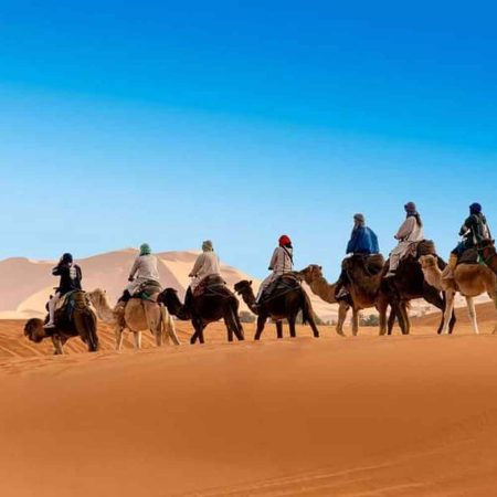 Morocco vacation,sahara desert camel