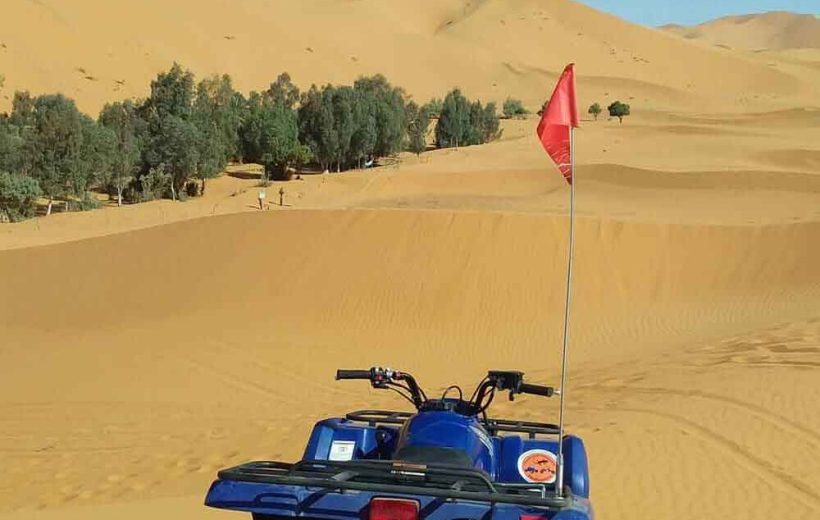 Excursión a Esauira desde Marrakech: Guía Completa