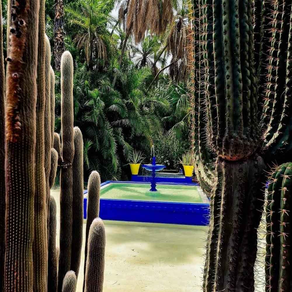 Majorel-Garden-Marrakech, Full-Day Sightseeing Tour Marrakech
