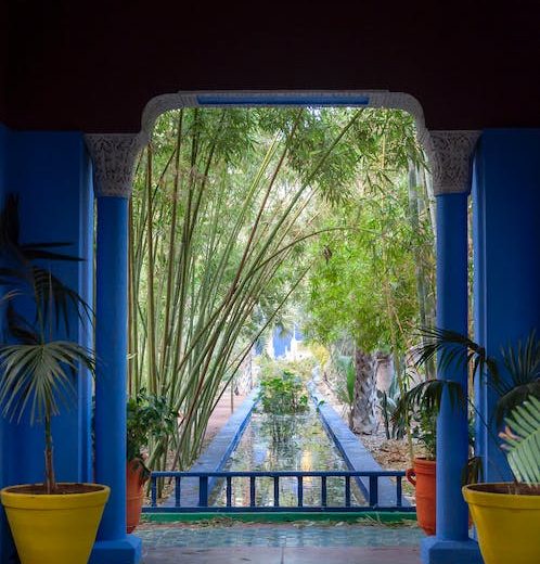 Jardin Majorelle - Majorelle Garden