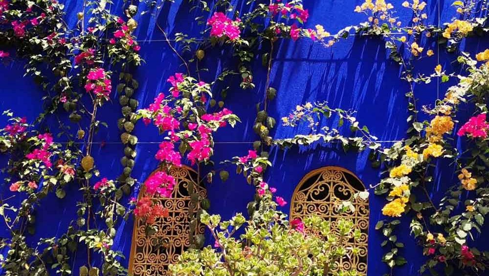 majorelle-Garden-Marrakech-Medina