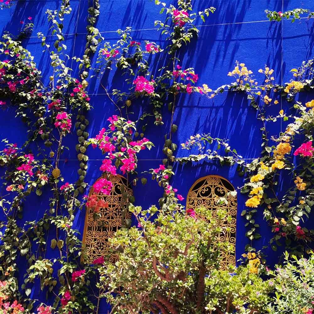 majorelle-Garden-Marrakech-Medina