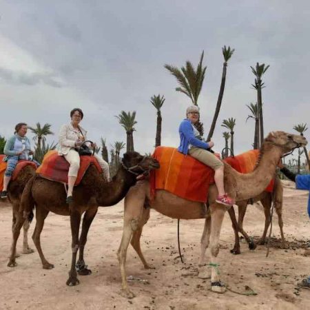 marrakech-camel-ride-morocco-toursmorocco-vacation-