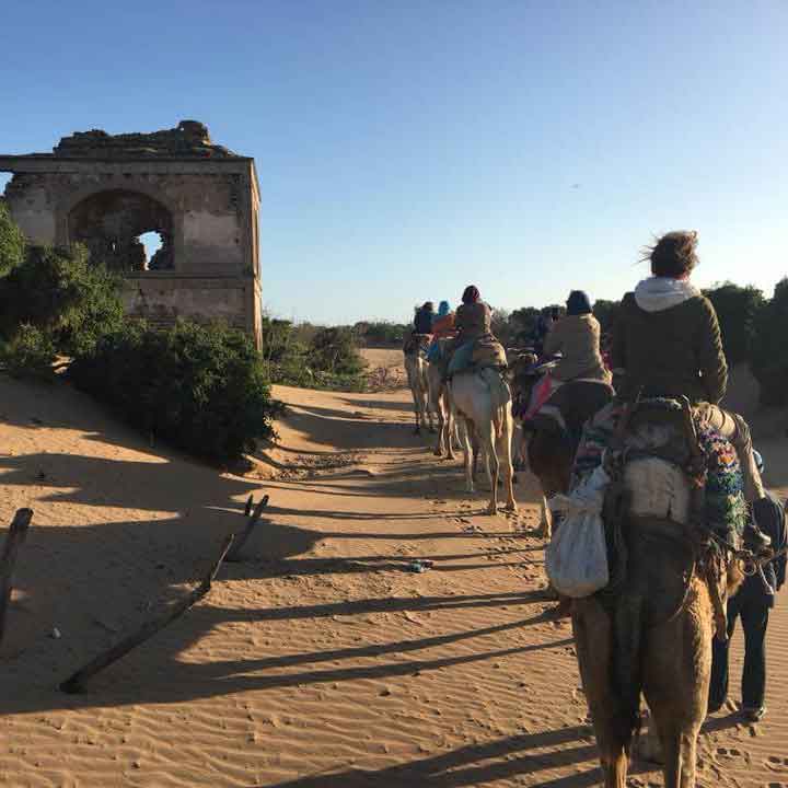 ride-camel-activitymorocco-vacationmorocco-tours