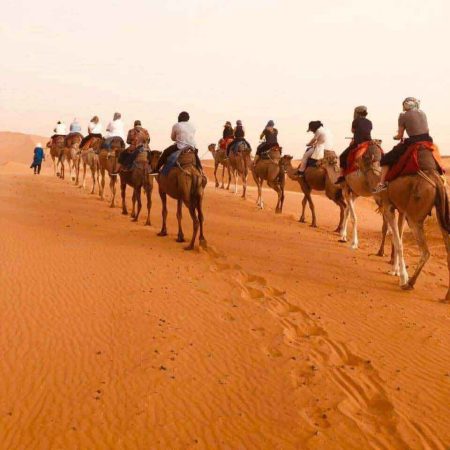 sahara-desert-morocco-camel-ride-camels-facts-