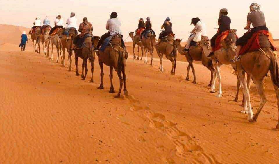 sahara-desert-morocco-camel-ride-camels-facts-